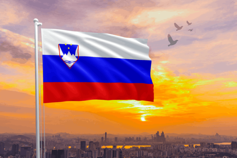 Grounds for immigration to Slovenia