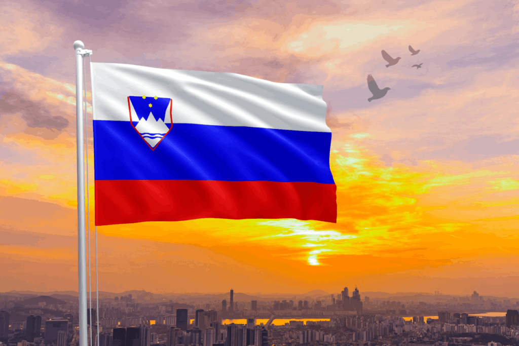 Grounds for immigration to Slovenia